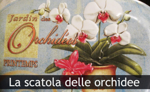 Orchidee nella scatola di latta