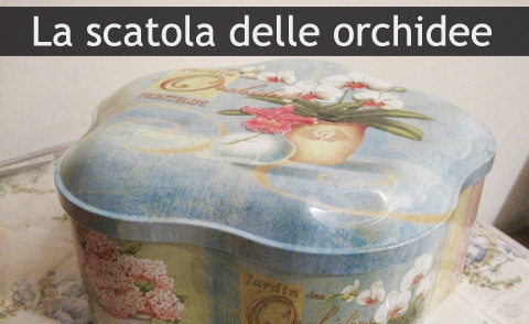 Orchidee nella scatola di latta